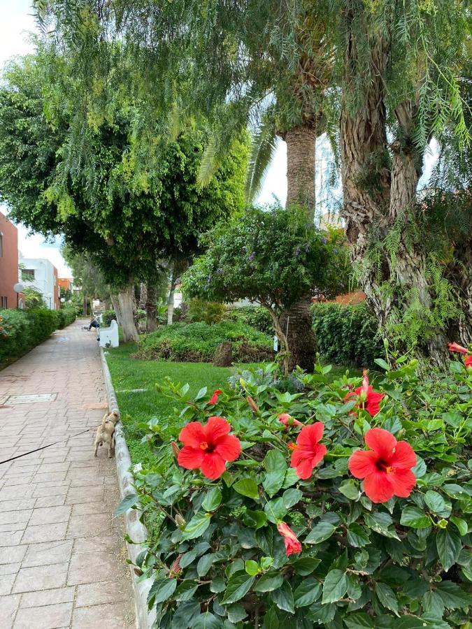 Villa Casa Armonia Del Sol San Bartolomé Exterior foto
